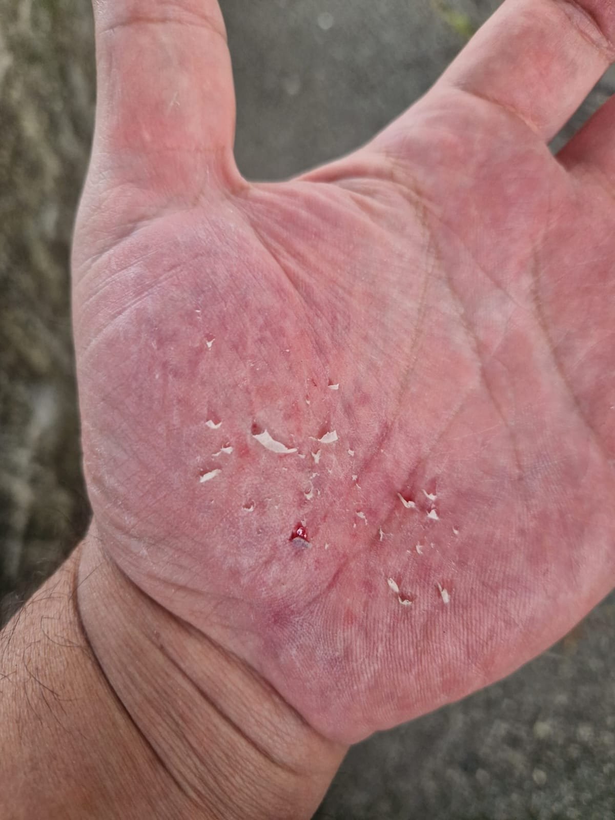 Troisième illustration — La farandole de la Kaaba